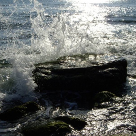 слънчевият  полет  на  водата