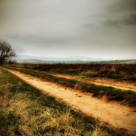 The Road to Loneliness