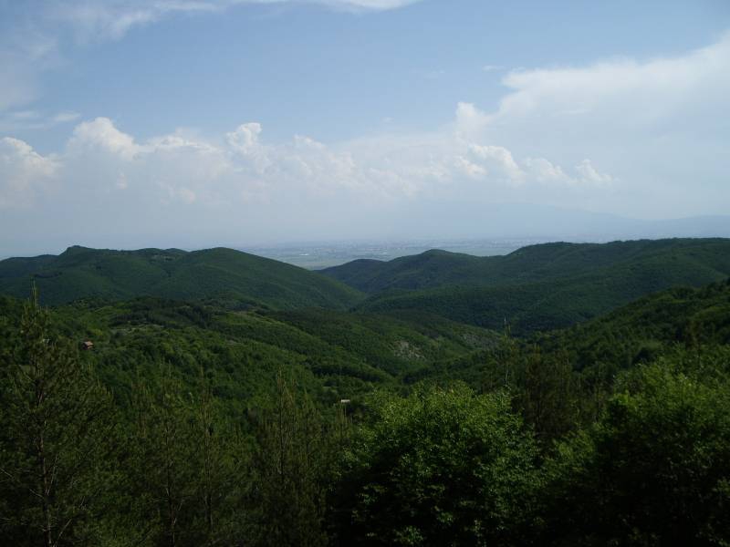 зелено