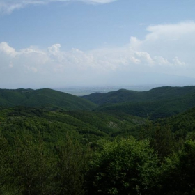 зелено