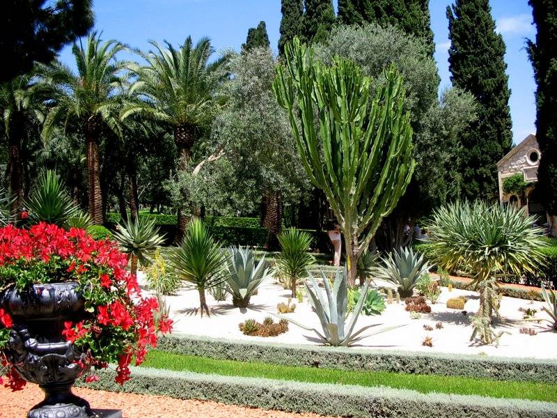 haifa