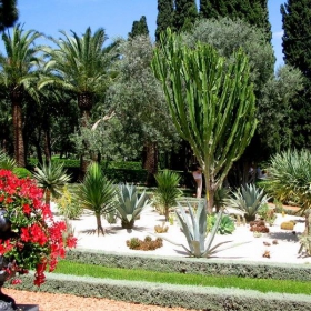 haifa