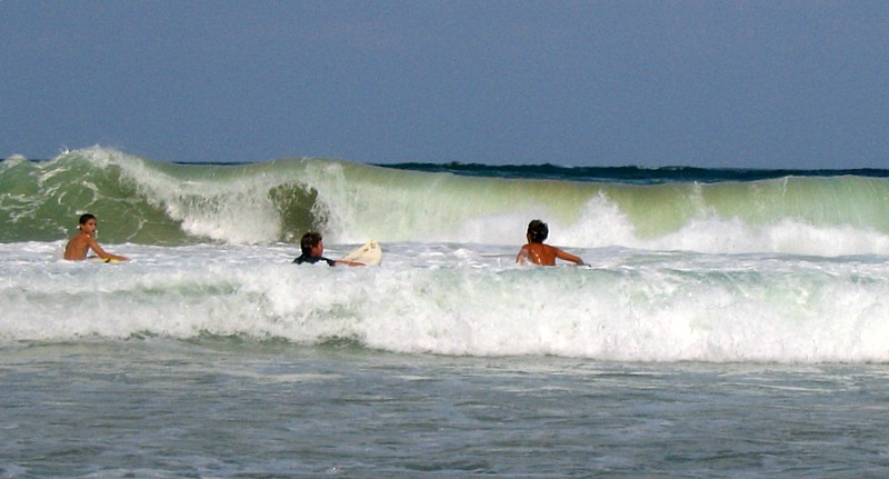 surfisti
