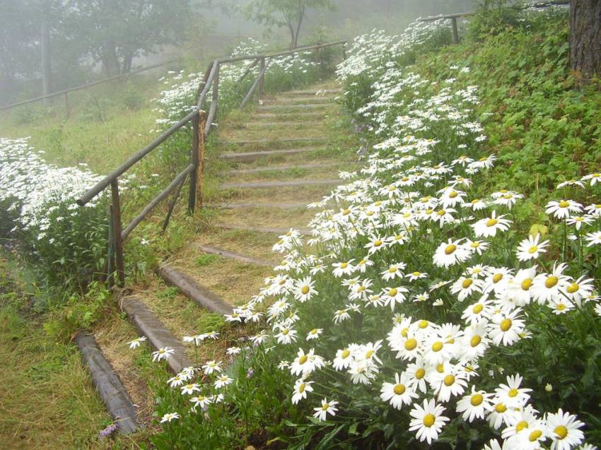 с. Равногор