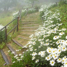 с. Равногор