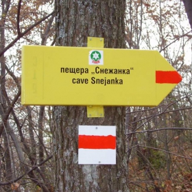 по пътеката