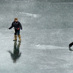 ICELAND STORY