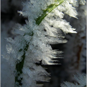 -10 градуса