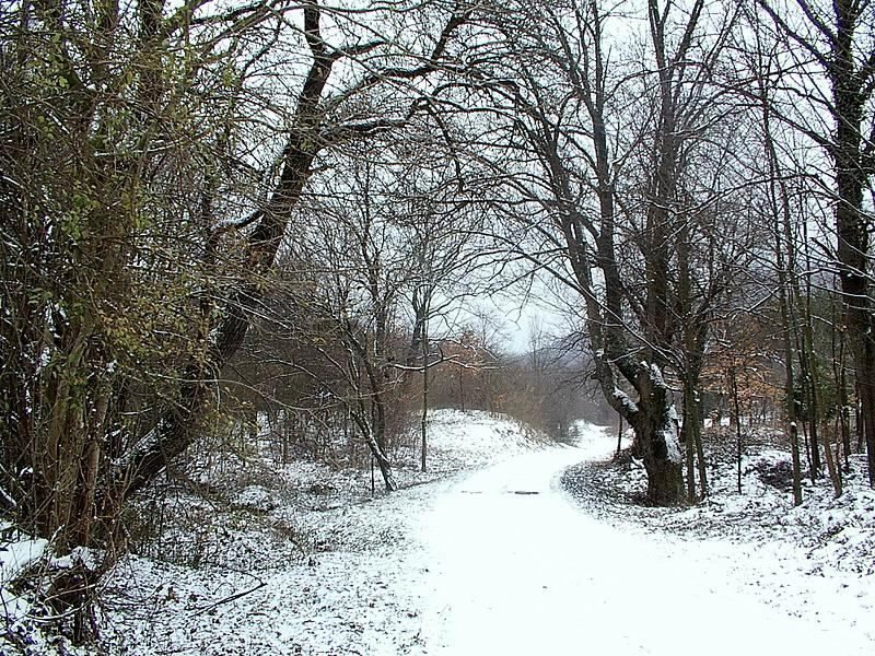   Пътят от воденицата