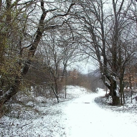   Пътят от воденицата