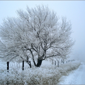 Самотно