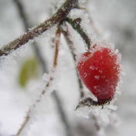 dec31a