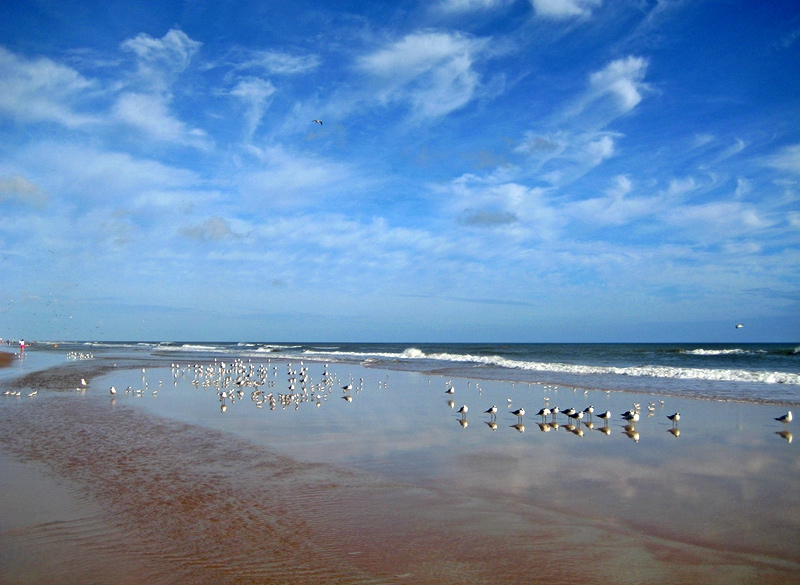Daytona beach