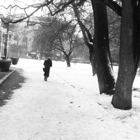 Walk Alone