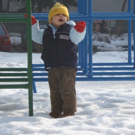 Тон за песен