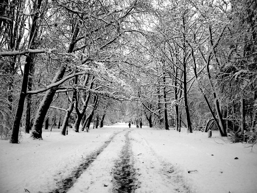 winter