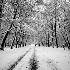 winter