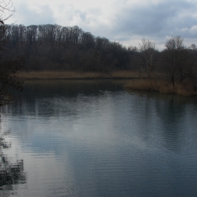 Veleka