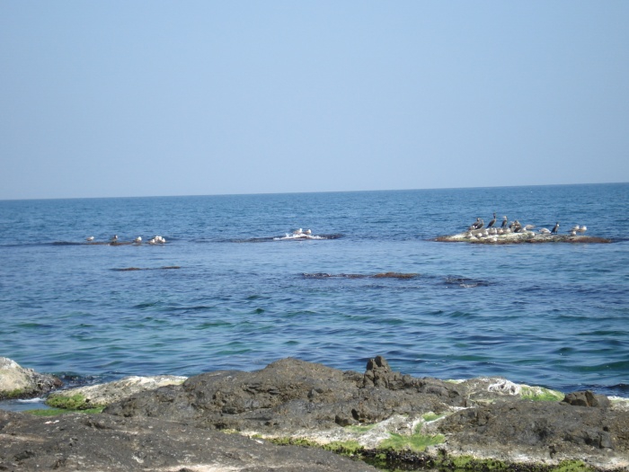 Черно Море