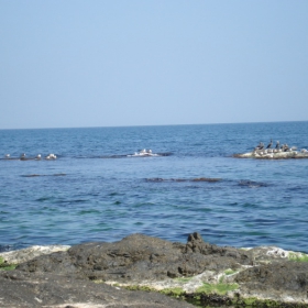 Черно Море