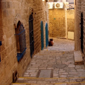 old jaffa