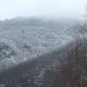 Wellcome to Narnia