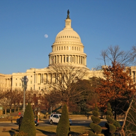 Capitolia , Washington DC