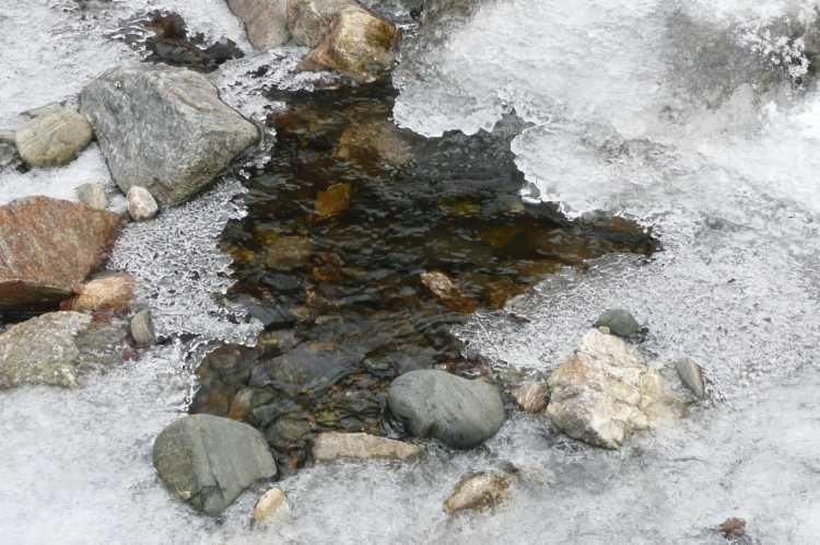 Proluka v leda...(Reka Bistritsa)