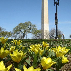 Washington monument