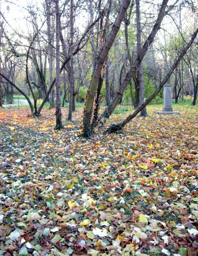 Красива картина
