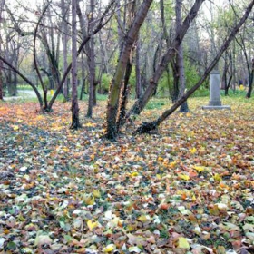 Красива картина