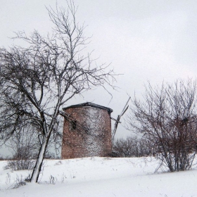 В снежна премяна