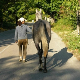 na kade li sa trugnali...?