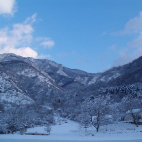 bachkovo