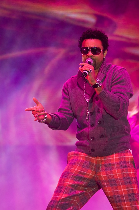  Shaggy