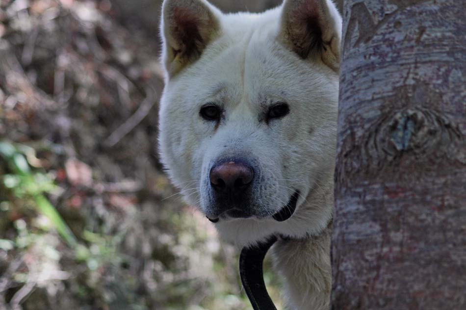 Снимка без име