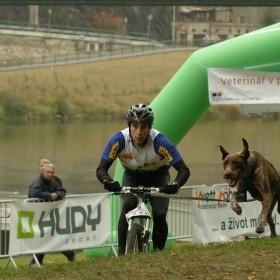 EC european championship bikejöring canicross Děčín 2008