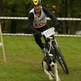 EC european championship bikejöring canicross Děčín 2008