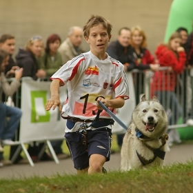 EC european championship bikejöring canicross Děčín 2008