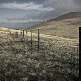 Fence...to heaven...