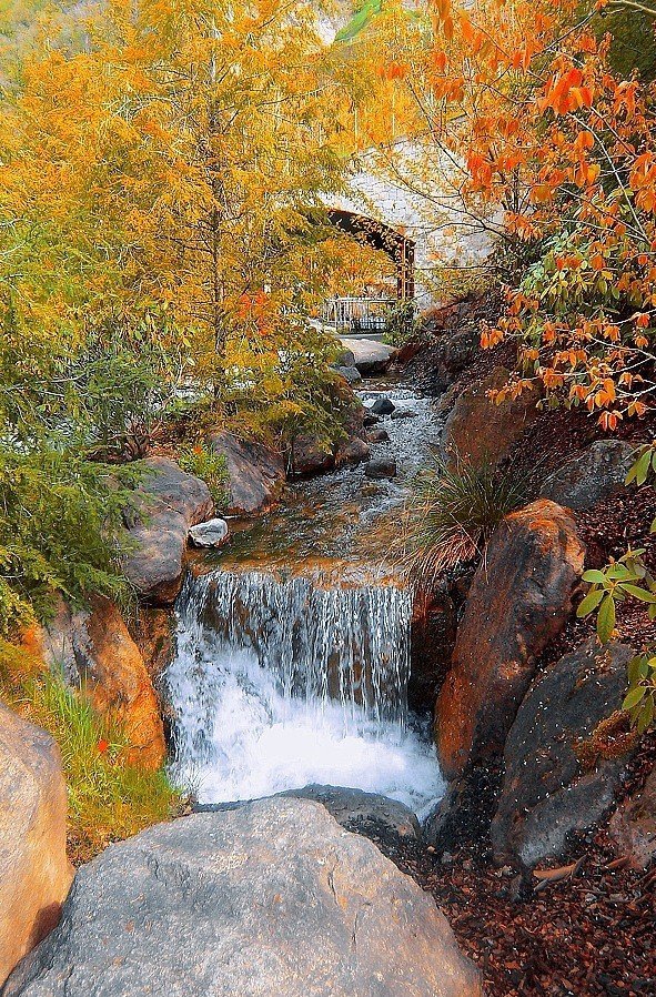 В Trauttmansdorff garden
