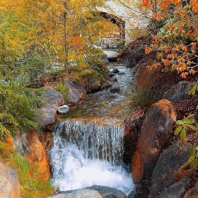 В Trauttmansdorff garden