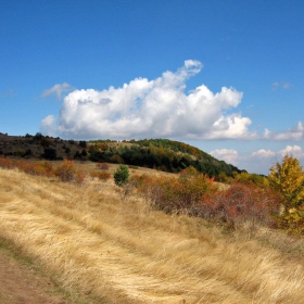 Есенна палитра