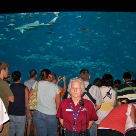 Aquarium Atlanta,GA,USA