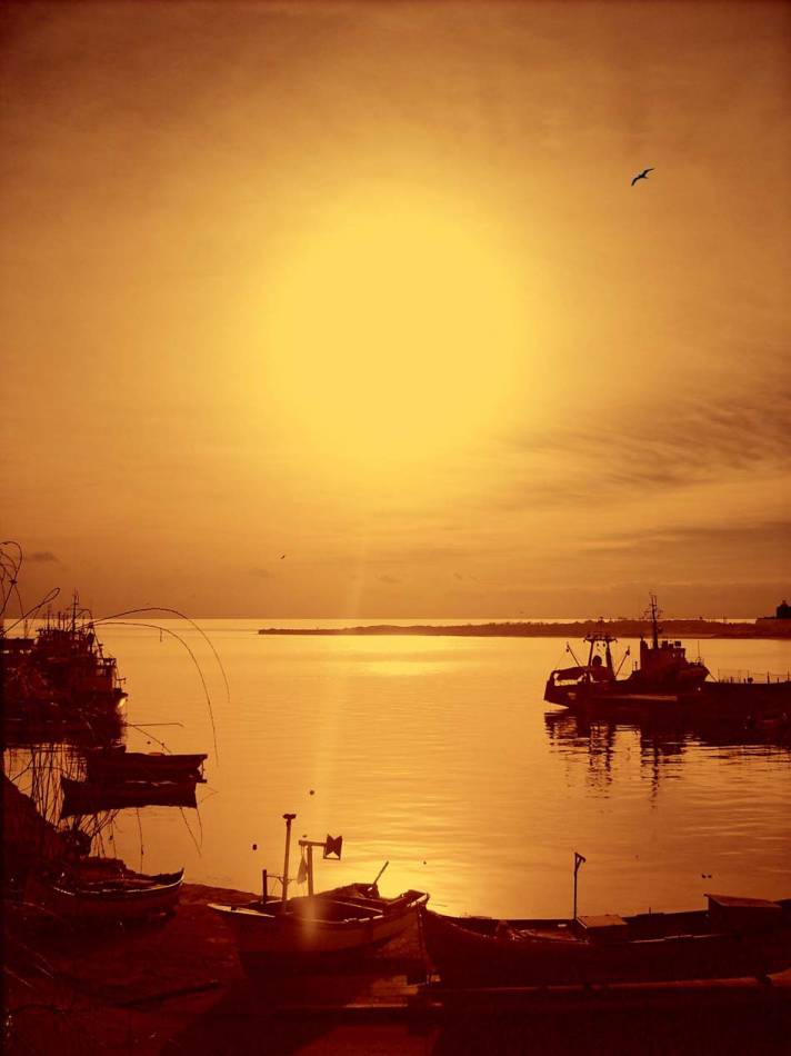 Neseber in colour 2