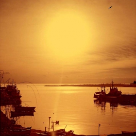 Neseber in colour 2