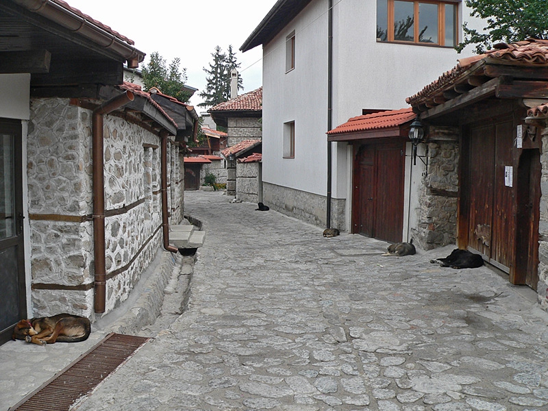 мързеливата