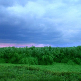 Синьозелено