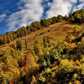 Стара планина Козница