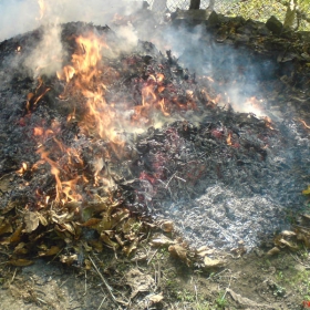 fire